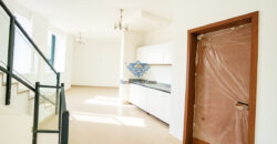 فِلَل مميّزة في قلب مدينة السلطان قابوس