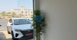 COMMERCIAL SHOPS FOR SALE – MAWALEH